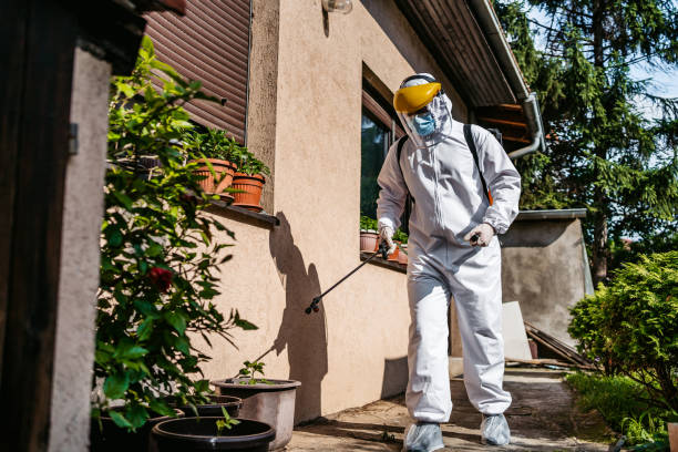 Best Best Pest Control Companies  in Muncy, PA