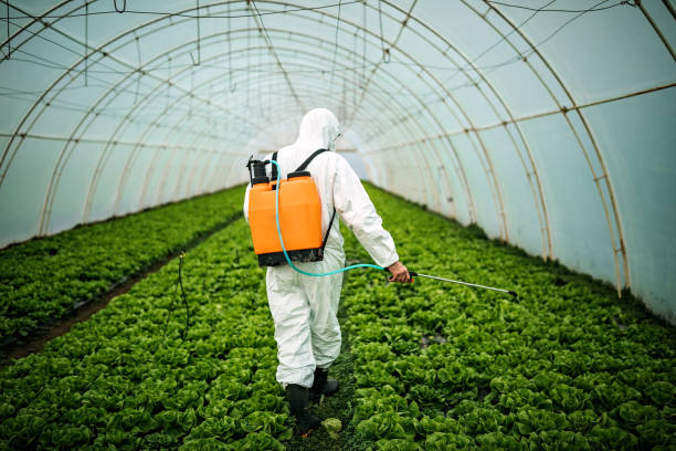 Best Local Pest Control Services  in Muncy, PA