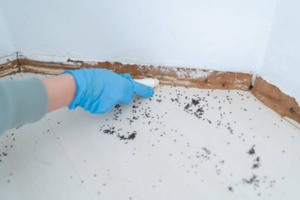 Best Pest Removal Services  in Muncy, PA