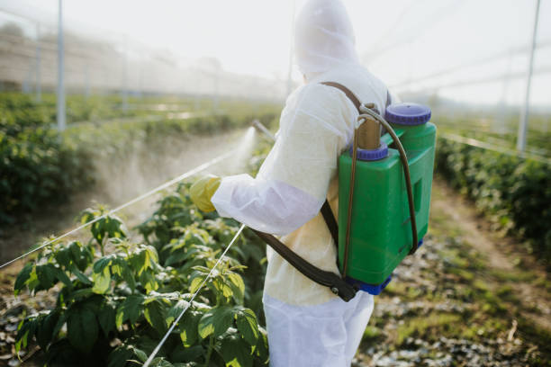 Wildlife Control Services in Muncy, PA